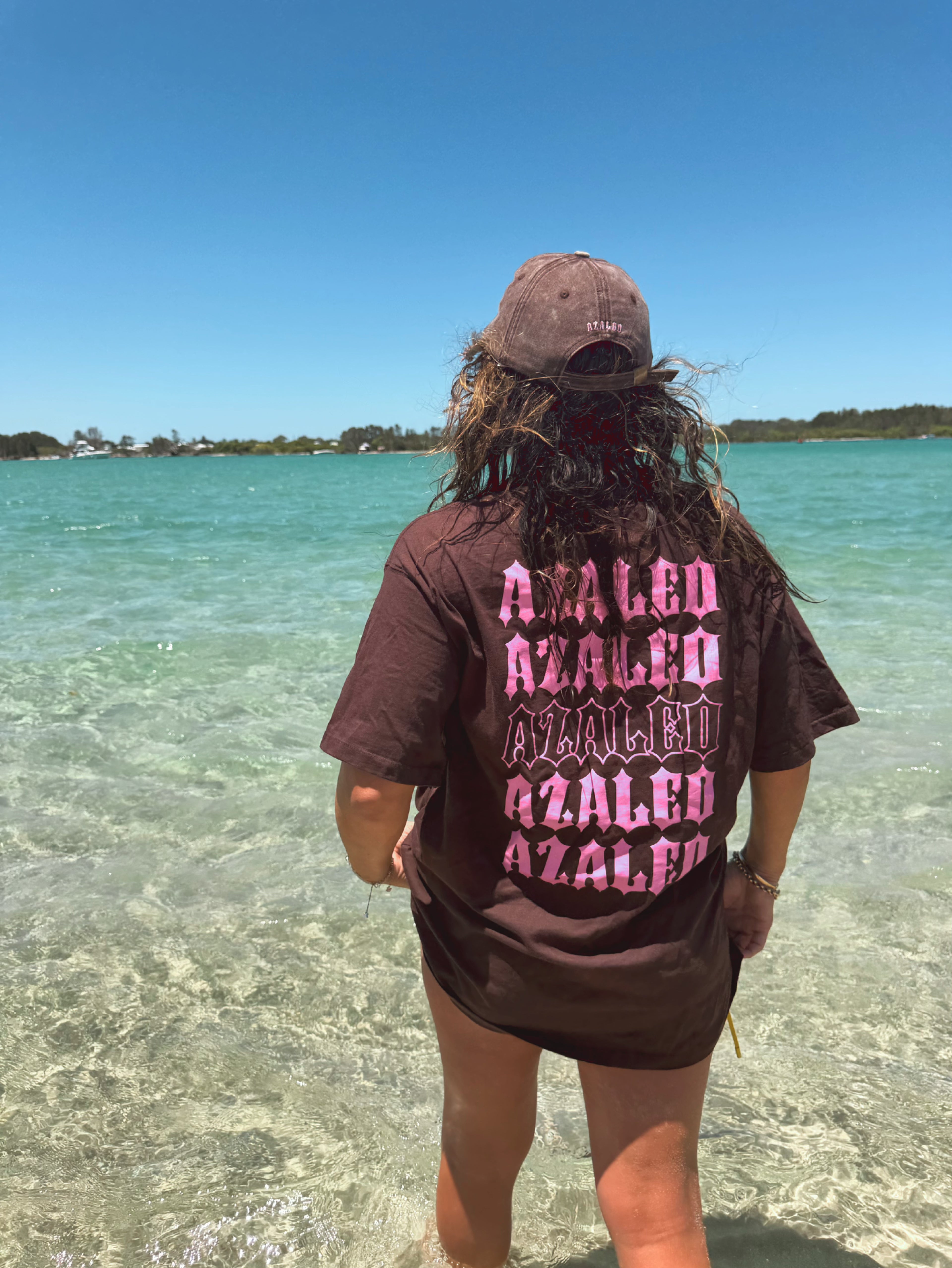 Mother distressed cap